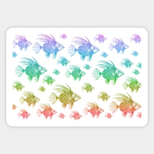 School of Rainbow Fish Sticker